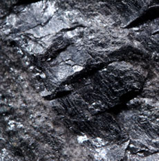 this is a picture of coal