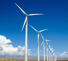 This is a photo of a wind farm.