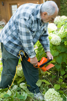 This is a photo of a man trimming plants.