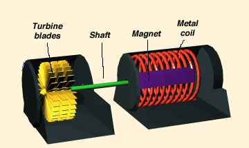 This is an illustration showing the turbine blades, shaft, magnet and metal coil in a turbine.