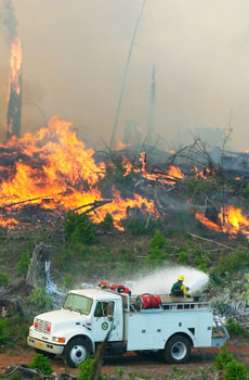 This is a picture of a forest fire.